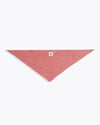 Baby Bandana
