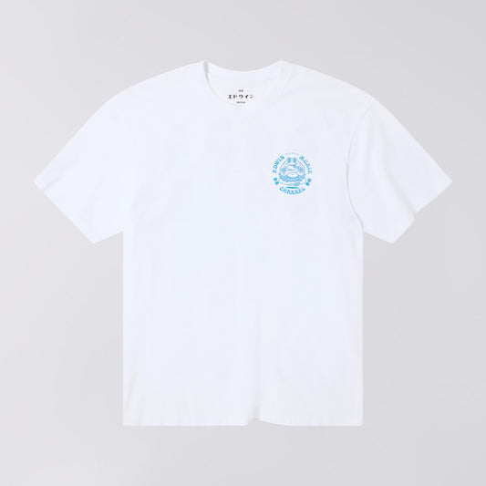 EMC Various TS