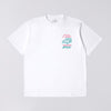 Pink Castle TS