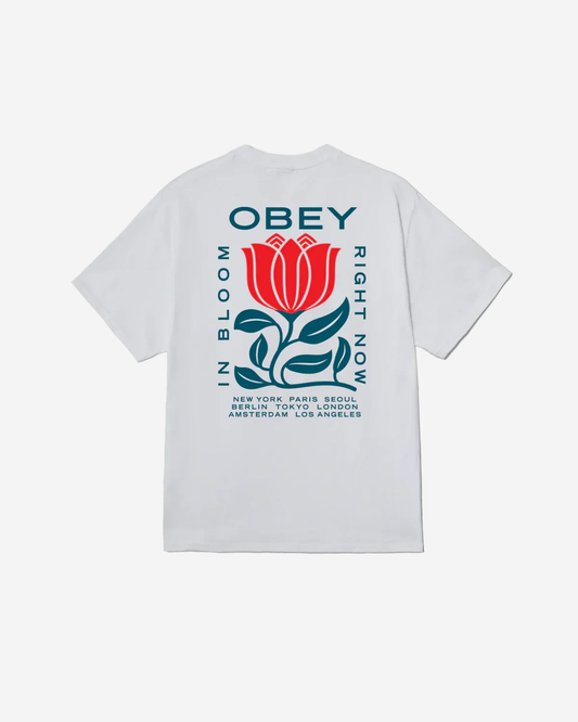 Obey In Bloom
