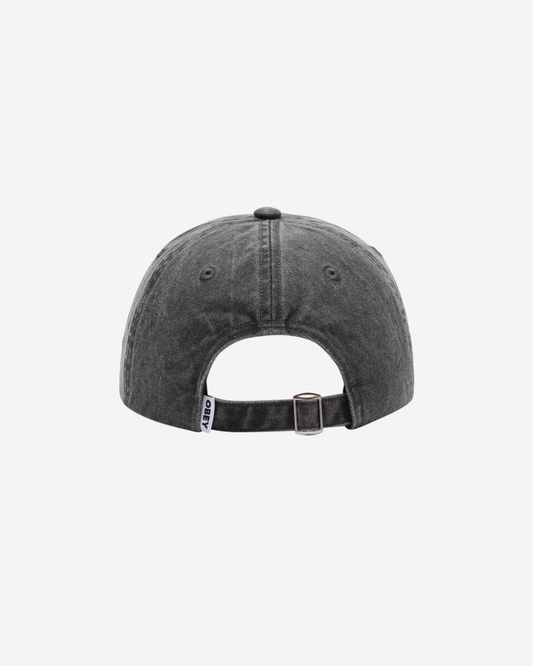 Pigment Bold 6 Panel Strapback