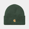 Chase Beanie