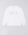 Robot TS LS